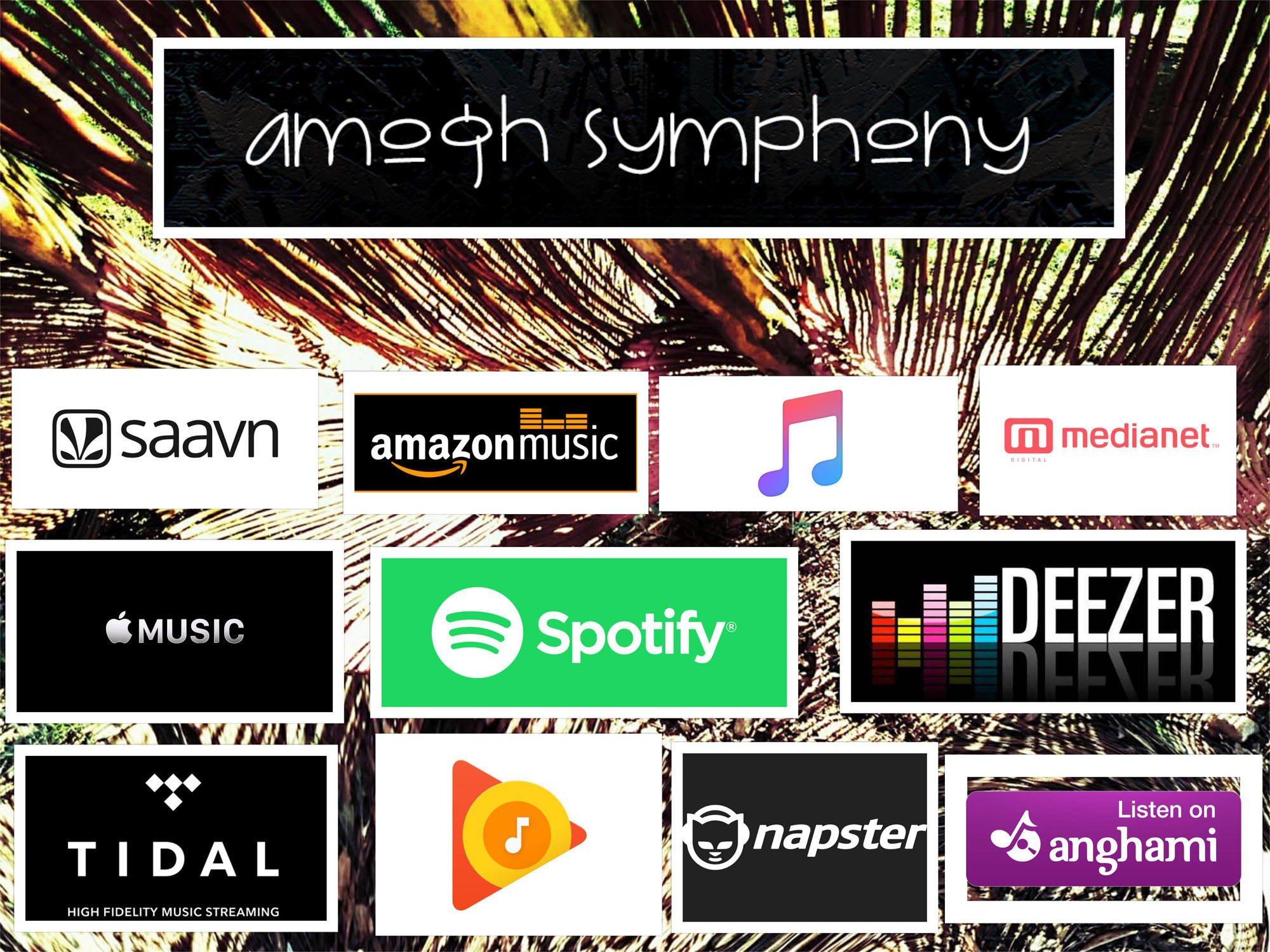 AMOGH SYMPHONY DISCOGRAPHY ON DIGITAL STORES